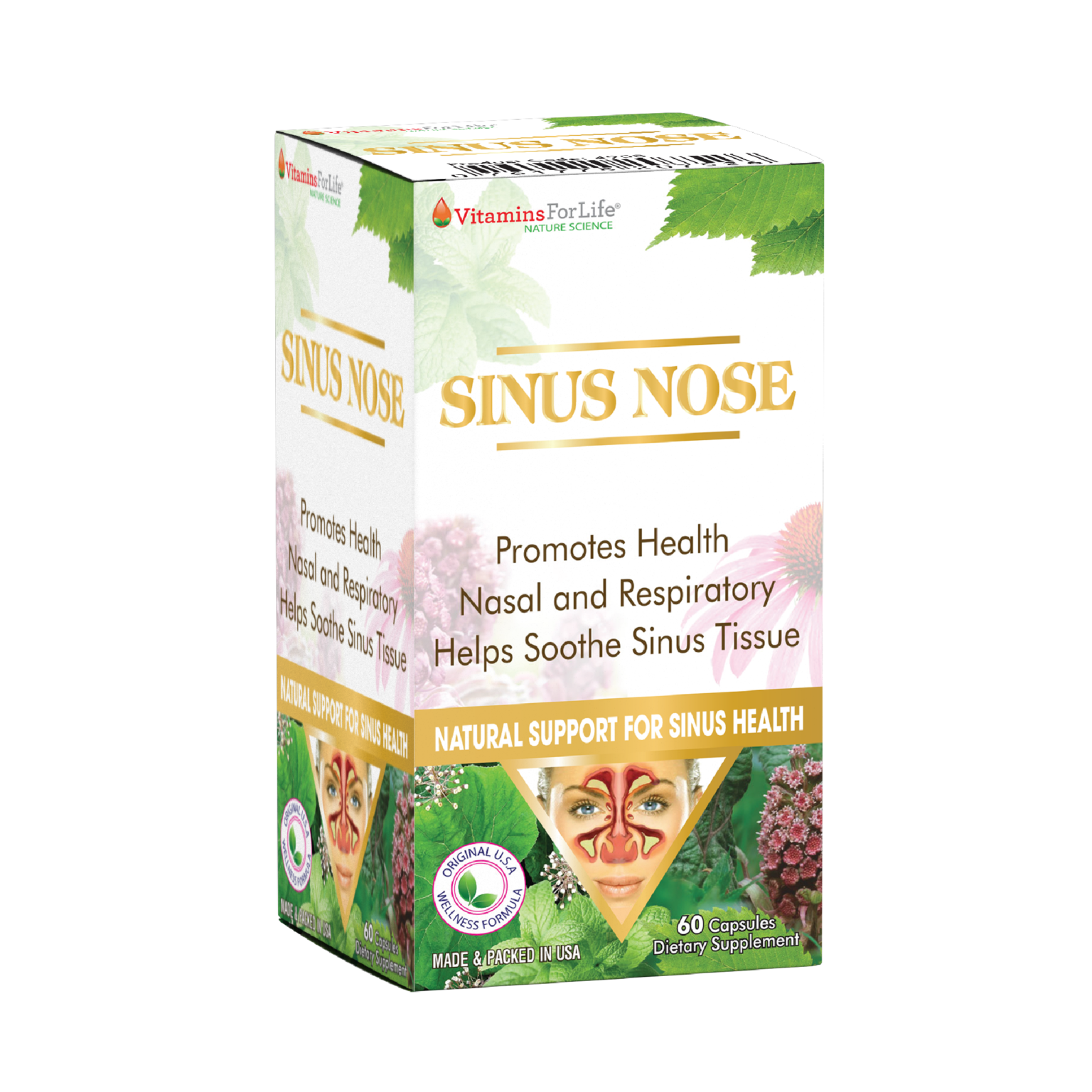 3D_Sinus-Nose_final_web-01-1536x1536