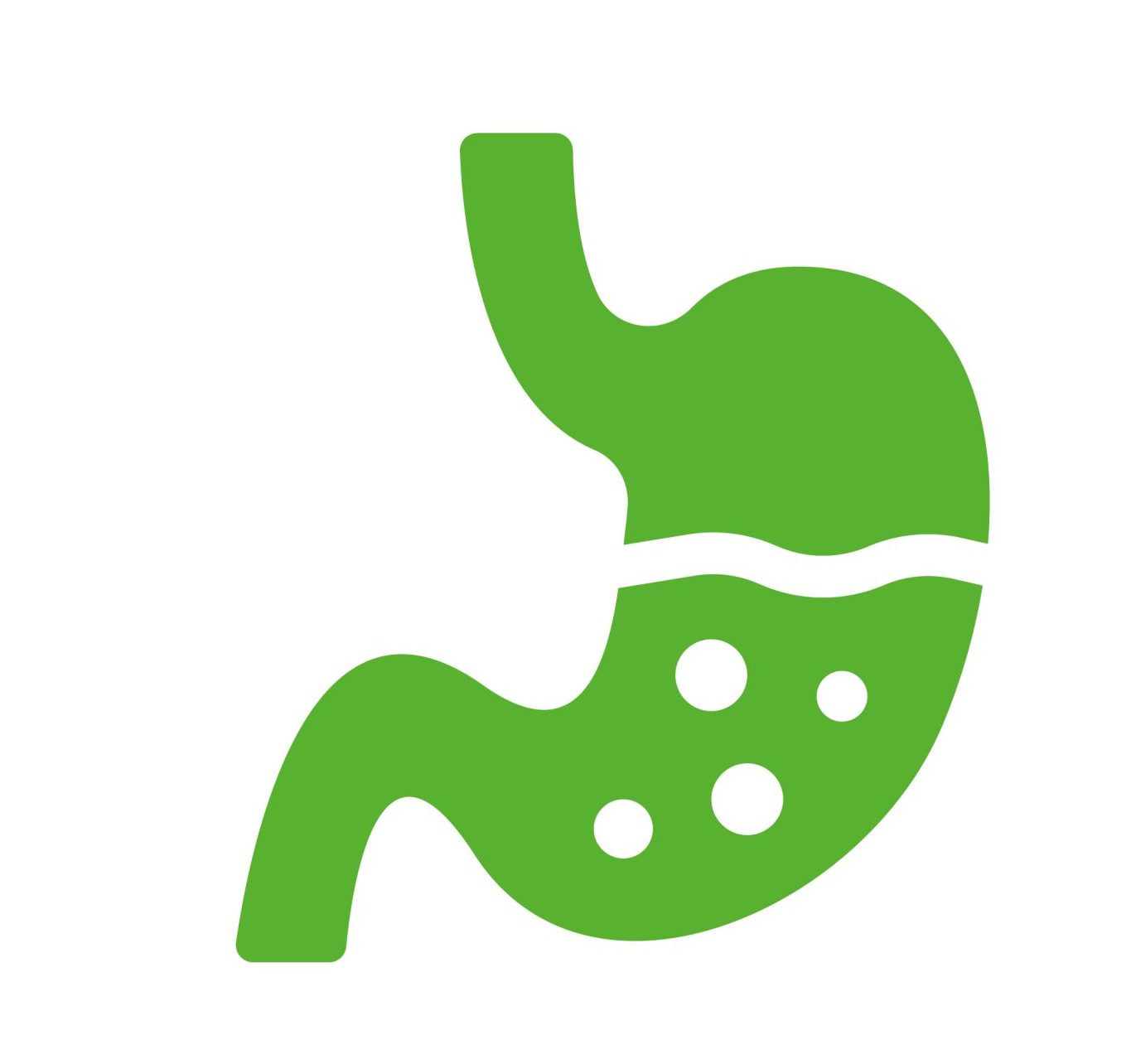 Tiêu hóa - Bài tiết - Digestive and Excretory System